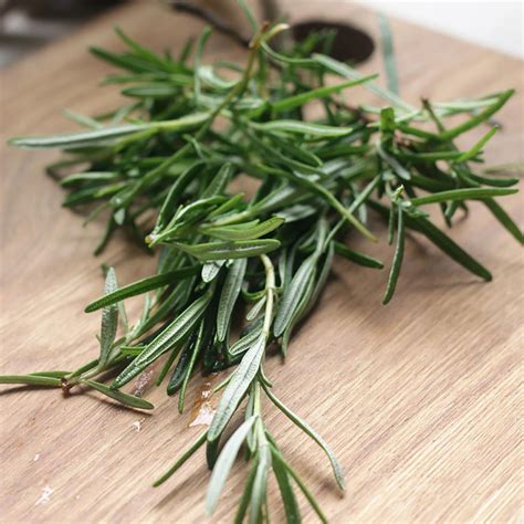 Whole Herb Fused Rosemary Agrumato Olive Oil Blue Moon Premium