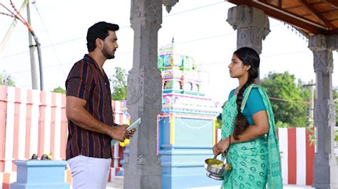 Watch Chellamma Full Episode 227 Online in HD on Hotstar CA