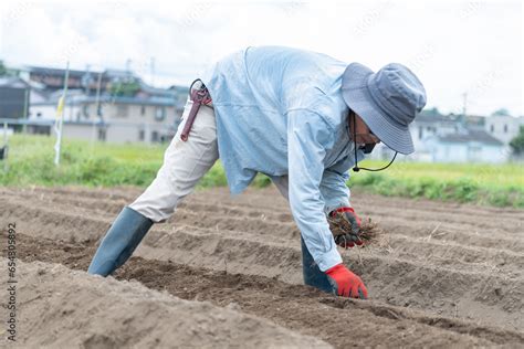 畑の雑草を抜く男性 Stock 写真 Adobe Stock