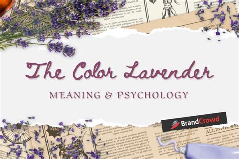 The Color Lavender Meaning And Psychology Brandcrowd Blog