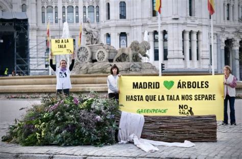 Últimas Noticias Greenpeace España Es Greenpeace España