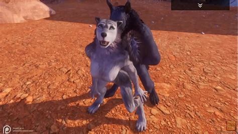 Gay Animation Furry Search Xvideos