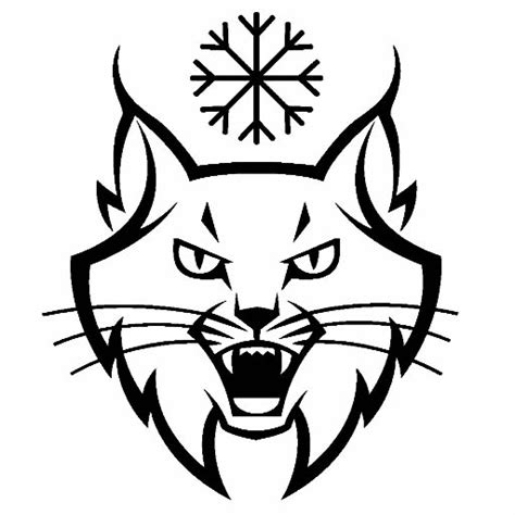 Lynx Animals Free Printable Coloring Pages