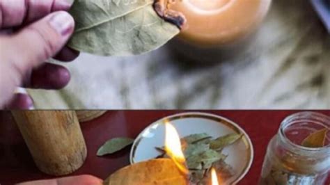 10 Cosas Que Suceden Si Quemas Una Hoja De Laurel Cada Noche En Casa