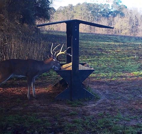 Deer Habitat Wildlife Habitat Deer Feeders Bed Liner Bowhunting