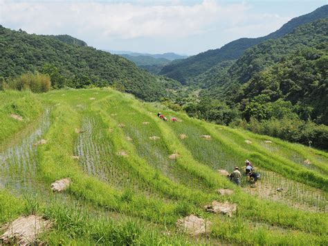 「國土生態綠網圖資」上線 布局全臺保育策略保全6成珍稀動植物 農傳媒