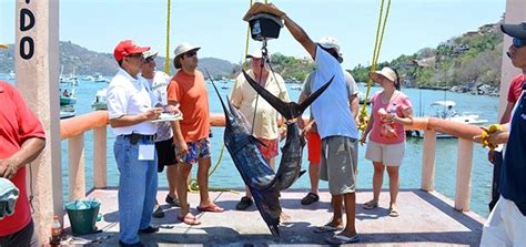 Torneo Internacional De La Pesca Del Pez Vela Eventos En Ixtapa