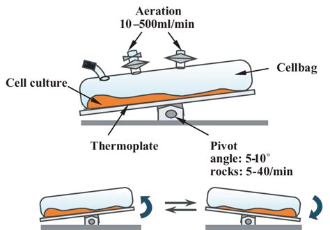 The Wave Bioreactor Is A Novel System For Cell Culture Cultivation The