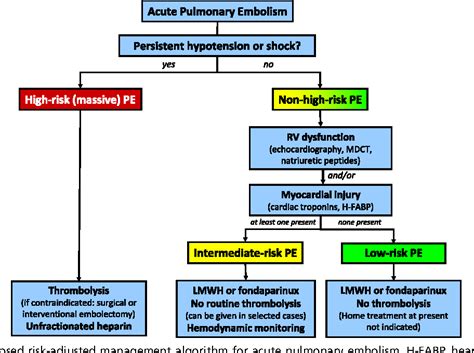 Pulmonary Embolism Treatment