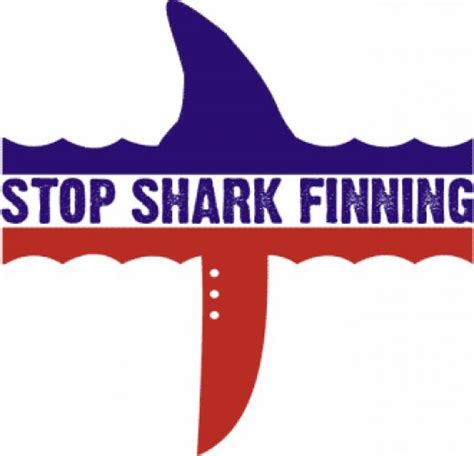 STOP SHARK FINNING by ChainsawShark on DeviantArt