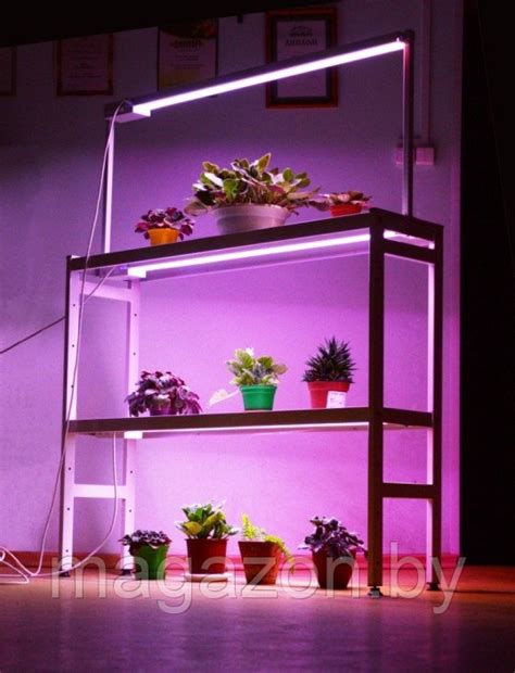 Этажерка для рассады большая с 2-мя фитосветильниками Led-30 - купить ...