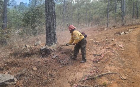 Semadet activa alerta atmosférica por incendios forestales El