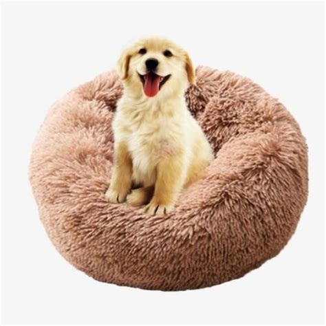 Coussin Apaisant Chien Et Chat Anti Stress Relaxant Daisypets