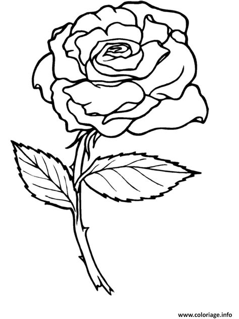 Coloriage Roses 3 JeColorie