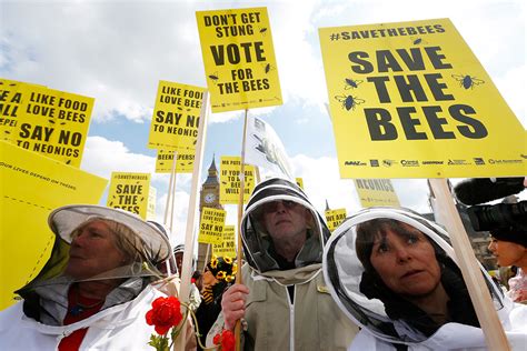 Emergency Clause Lets European Countries Beat Bee Pesticide Ban New