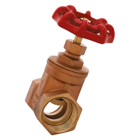 Brass Gate Valve 25mm 1 Tankworld