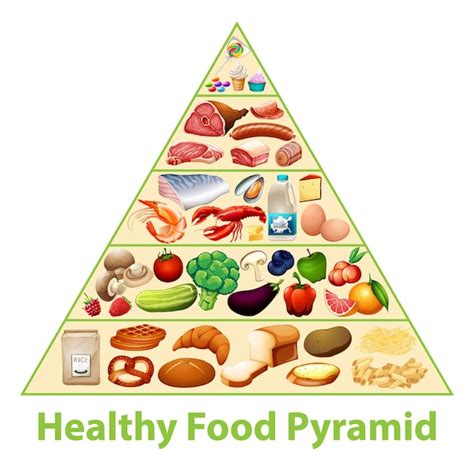 Free Vector Healthy Food Pyramid Chart