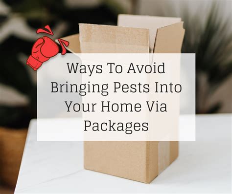 Ways To Avoid Bringing Pests Into Your Home Via Packages Knockout