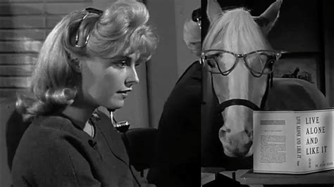 Sharon Tate In Mr Ed Season Episode Love Thy New Neighbor