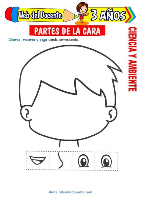 Pdf Partes De La Cara Title Partes De La Cara Para Ni Os De A Os