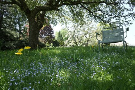 The Seats of Berkshire Botanical Garden | Berkshire Botanical