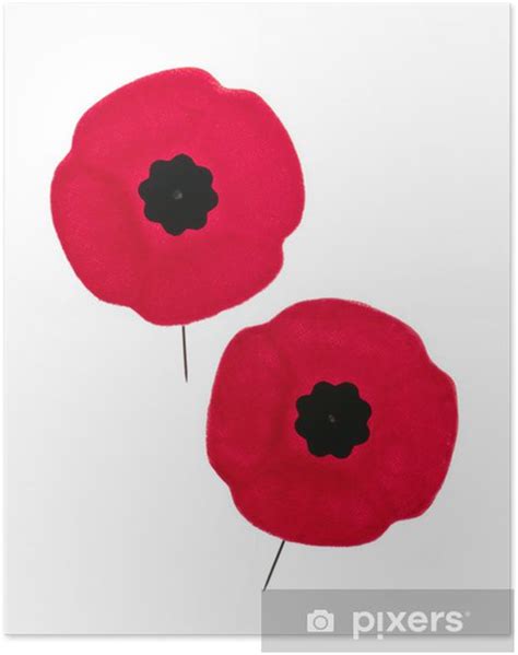 Poster Remembrance Day poppies - PIXERS.NET.AU