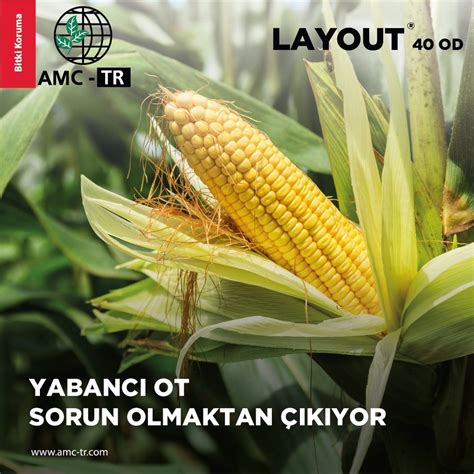 LAYOUT 40 OD