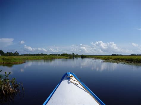 Shell Beach - Traveling Guyana - Independent Info