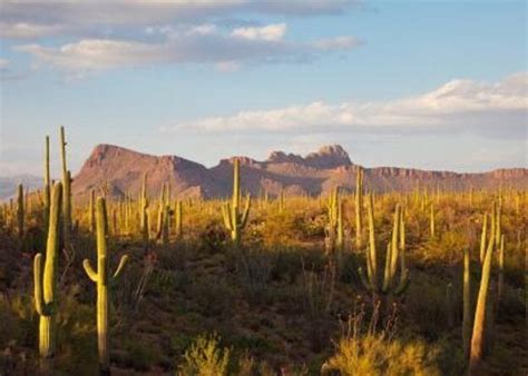 3 Best 3 Hour Tours And Experiences In Phoenix