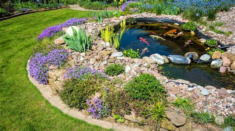 Concrete Patio Koi Pond - Patio Ideas