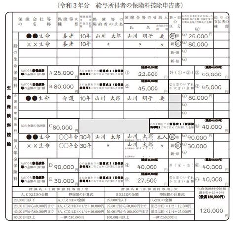 保険料控除とは――申告書の書き方や控除計算、記入例などをわかりやすく 『日本の人事部』