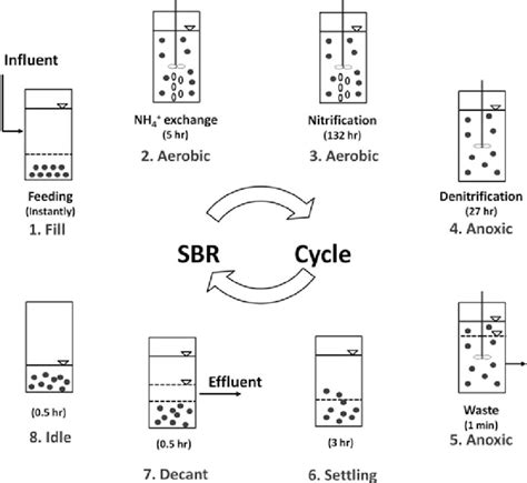 Schematic Of Chabazite SBR Operation Showing Stages Over A 7 Day Cycle