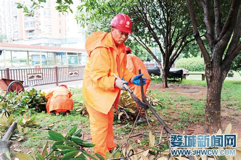 灾后清理重建家园 婺城新闻网