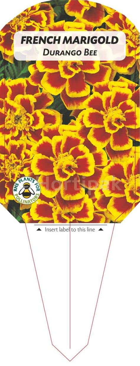 Marigold French Durango Bee Hortipak E Store