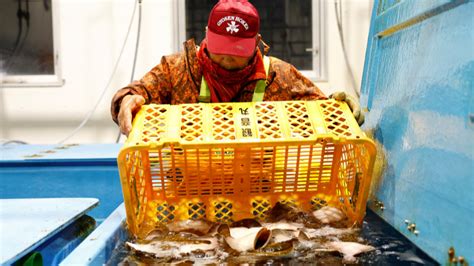 歐盟擬撤銷對日本食品進口限制 最快今夏福島水產、野生香菇有望順利入歐洲 國際焦點 太報 Taisounds