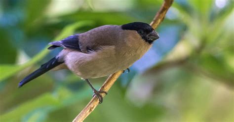 Серия постов «Лед и пламя»