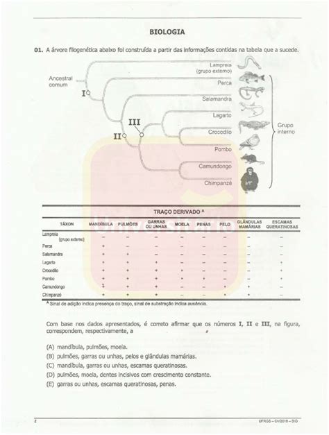 Pdf Prova De Biologia Ufrgs Passenaufrgs Biologia A