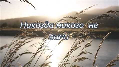 Никогда никого не вини YouTube