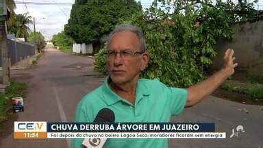 Cetv Edi O Juazeiro Do Norte Chuva Derruba Rvore Em Juazeiro