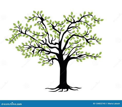 Plantilla Del árbol De Familia Árbol Genealógico Ilustración del Vector