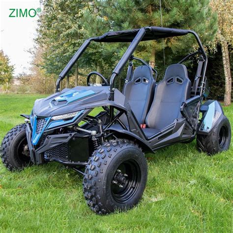 4 Stroke Off Road Buggy 200cc Dune Buggy Go Karts For Adults China