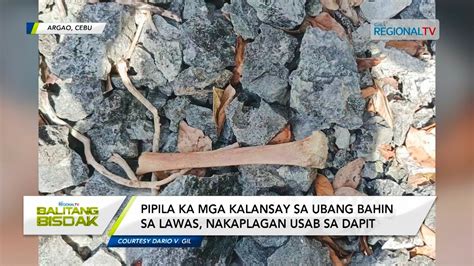 Balitang Bisdak Kalabera Napalgan Sa Kalibunan Sa Argao Cebu Youtube