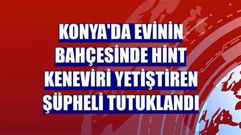 Konya Da Evinin Bah Esinde Hint Keneviri Yeti Tiren Pheli Tutukland