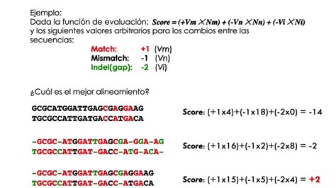 Alineamientos De Secuencias Parte Ii Modelos De Sustituci N De