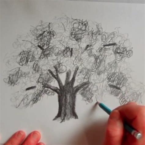 Sketch an Easy Oak Tree Pencil Drawing - artlooklearn.com