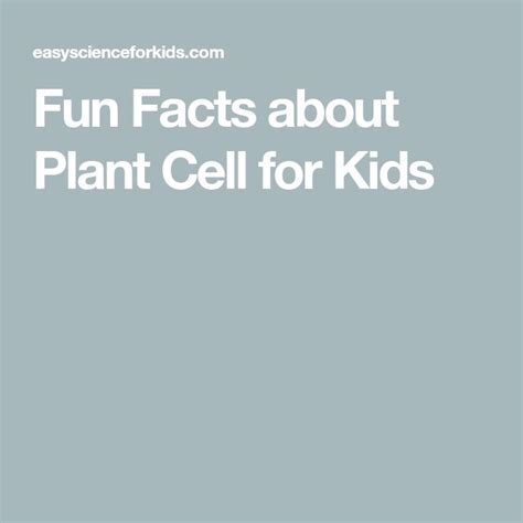 Fun Facts About Plant Cell For Kids