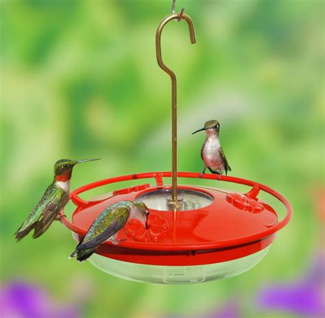 What’s the best hummingbird feeder?? – Southeastern Avian Research