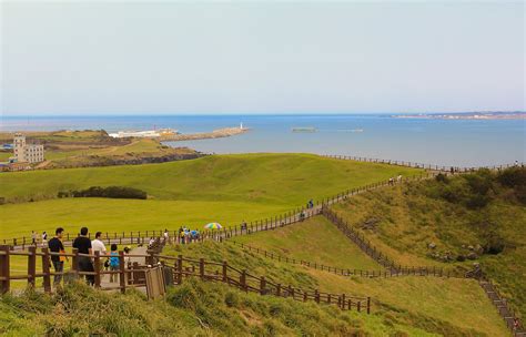 제주도 3박 4일 여행 코스 이대로만 따라 하자