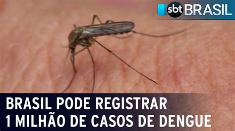 Brasil pode registrar 1 milhão de casos de dengue nos próximos dias