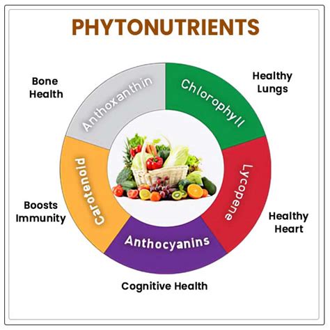 What Are Phytonutrients-An Overview - Al Ardh Alkhadra